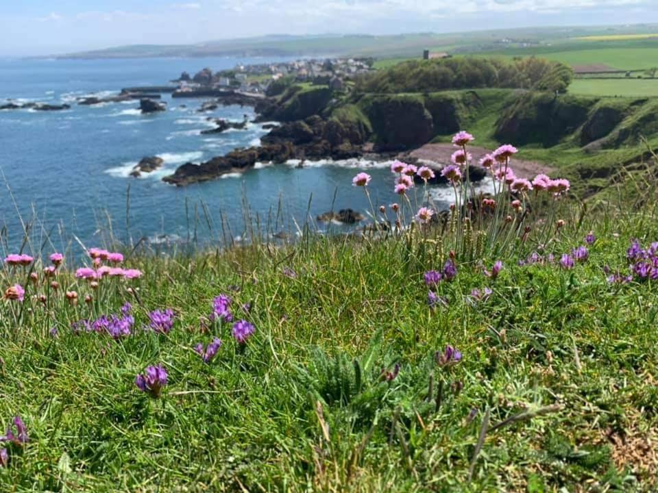 Relax In A 1 Bedroom Apartment Near A Country Pub Eyemouth Esterno foto